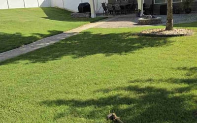 Photo of Shirley B.'s yard after getting lawn care in Martinsburg, WV