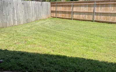 Photo of Crystal W.'s yard after getting lawn care in Norman, OK