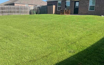 Photo of Garett D.'s yard after getting lawn care in Savannah, GA