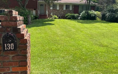 Photo of Patrick P.'s yard after getting lawn care in Maumelle, AR
