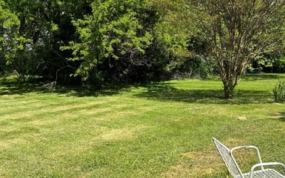 Photo of Joe E.'s yard after getting lawn care in Berryville, VA