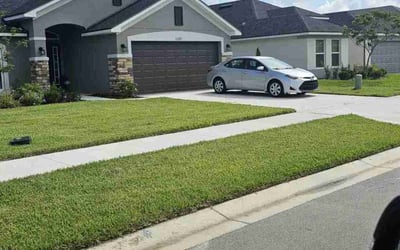 Photo of Angel L.'s yard after getting lawn care in Mulberry, FL