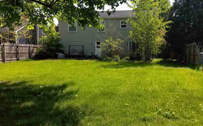 Photo of Rebecca O.'s yard after getting lawn care in Penfield, NY