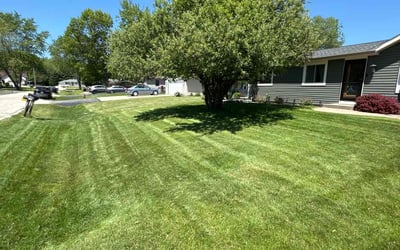 Photo of Lady S.'s yard after getting lawn care in Superior, WI
