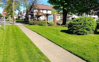 Photo of Jeff S.'s yard after getting lawn care in Cedar Lake, IN