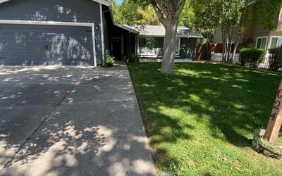 Photo of Felicia R.'s yard after getting lawn care in Citrus Heights, CA