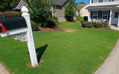 Photo of Greg B.'s yard after getting lawn care in Dawsonville, GA