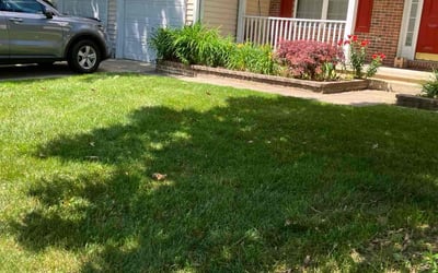 Photo of Ronda R.'s yard after getting lawn care in Williamstown, NJ