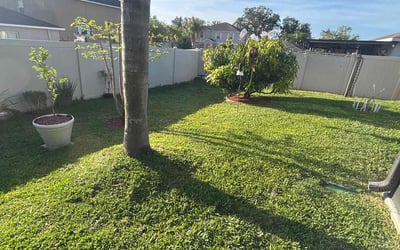 Photo of Zaki S.'s yard after getting lawn care in Dover, FL