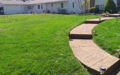 Photo of Lenora R.'s yard after getting lawn care in St. Louis, MO