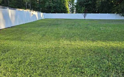 Photo of Heather S.'s yard after getting lawn care in Suffolk, VA