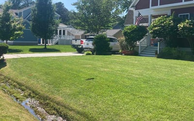 Photo of Michael B.'s yard after getting lawn care in Wausau, WI