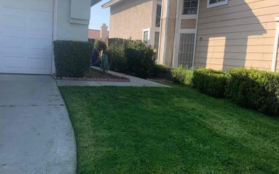 Photo of Shakeva H.'s yard after getting lawn care in Crestline, CA