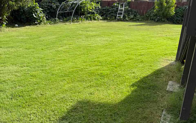 Photo of Michael C.'s yard after getting lawn care in Peachtree City, GA