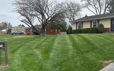 Photo of John M.'s yard after getting lawn care in Westminster, MD