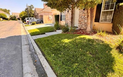 Photo of teresa w.'s yard after getting lawn care in Clovis, CA