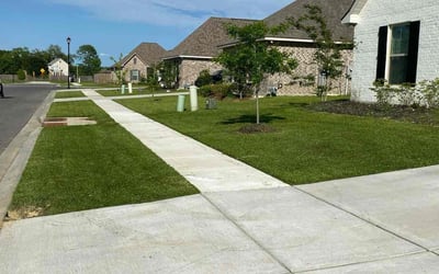 Photo of Keishele J.'s yard after getting lawn care in Prairieville, LA