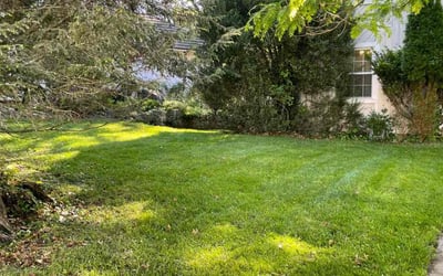 Photo of Charles L.'s yard after getting lawn care in East Saint Louis, IL