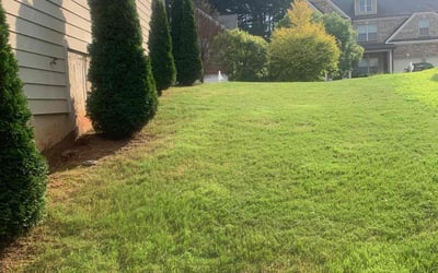 Photo of Yvonne D.'s yard after getting lawn care in Barnesville, GA