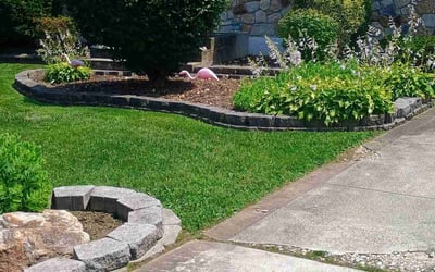 Photo of Aneaka G.'s yard after getting lawn care in Hiram, GA