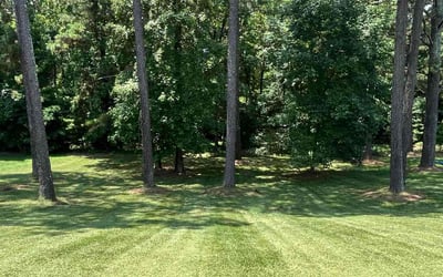 Photo of Josefine D.'s yard after getting lawn care in Southport, NC