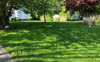 Photo of Tucker B.'s yard after getting lawn care in Chardon, OH