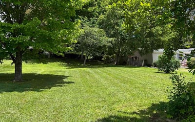 Photo of Ashley A.'s yard after getting lawn care in Hendersonville, NC