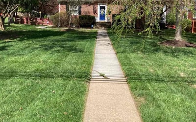 Photo of Karl B.'s yard after getting lawn care in Reisterstown, MD