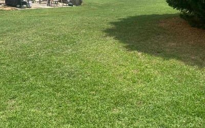 Photo of Nga L.'s yard after getting lawn care in Grayson, GA