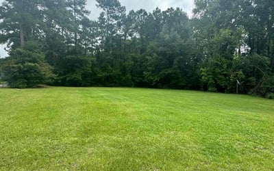Photo of Brian L.'s yard after getting lawn care in Greenville, NC