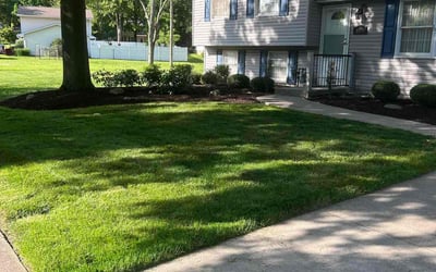 Photo of Jerry R.'s yard after getting lawn care in Stow, OH