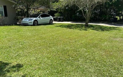 Photo of Mary D.'s yard after getting lawn care in Santa Fe, TX