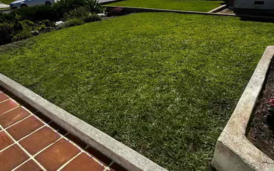 Photo of Letchas c.'s yard after getting lawn care in Torrance, CA