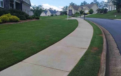 Photo of Judith R.'s yard after getting lawn care in Richardson, TX