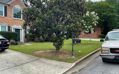 Photo of CT B.'s yard after getting lawn care in La Fayette, GA