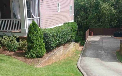 Photo of Cj S.'s yard after getting lawn care in Stony Brook, NY