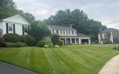 Photo of Anthony W.'s yard after getting lawn care in Mount Airy, MD
