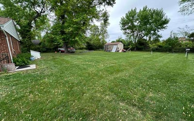 Photo of Barbara T.'s yard after getting lawn care in Muskegon, MI