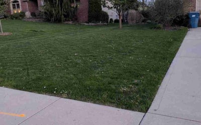 Photo of Leo R.'s yard after getting lawn care in Bloomington, IL