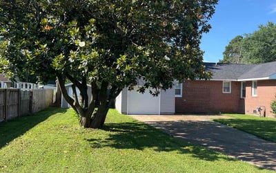 Photo of Ty B.'s yard after getting lawn care in Hampton, VA