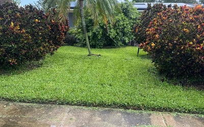 Photo of Phillip M.'s yard after getting lawn care in Cherry Hill, NJ