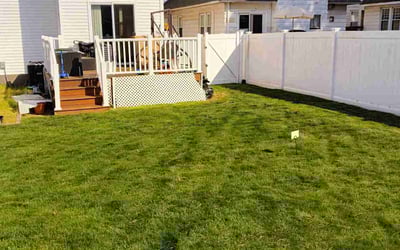 Photo of Ashley K.'s yard after getting lawn care in Rutherford, NJ