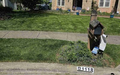 Photo of Kathryn A.'s yard after getting lawn care in Westerville, OH