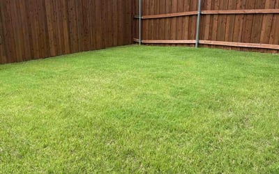 Photo of Rehema V.'s yard after getting lawn care in Cincinnati, OH