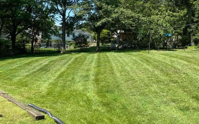 Photo of Craig S.'s yard after getting lawn care in College Park, MD