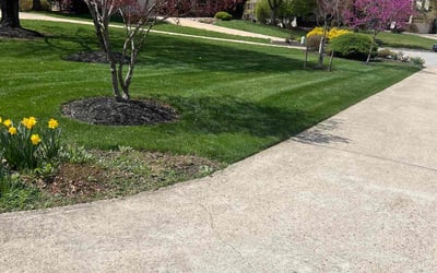 Photo of Tom M.'s yard after getting lawn care in Ellicott City, MD