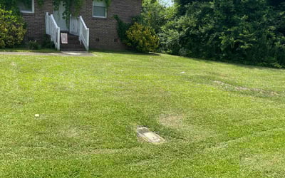 Photo of Lori L.'s yard after getting lawn care in Warrior, AL