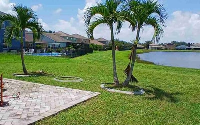Photo of K A.'s yard after getting lawn care in Ruskin, FL