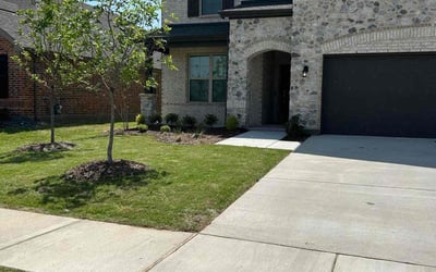 Photo of Adriel A.'s yard after getting lawn care in Forney, TX