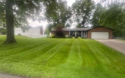 Photo of Jess S.'s yard after getting lawn care in Santa Rosa, CA